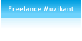 Freelance Muzikant
